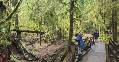 A Peaceful Escape Can Be Found Along The Watershed Trail In Washington