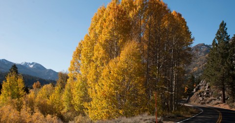 This Little-Known Scenic Spot In Northern California That Comes Alive With Color Come Fall