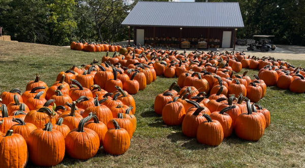 This Pumpkin Patch And Cafe With Seasonal Goodies Are The Perfect Pair For A Fall Day Trip In Minnesota