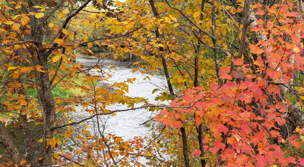 The Lesser-Known State Park Where You Can View The Best Fall Foliage In Minnesota
