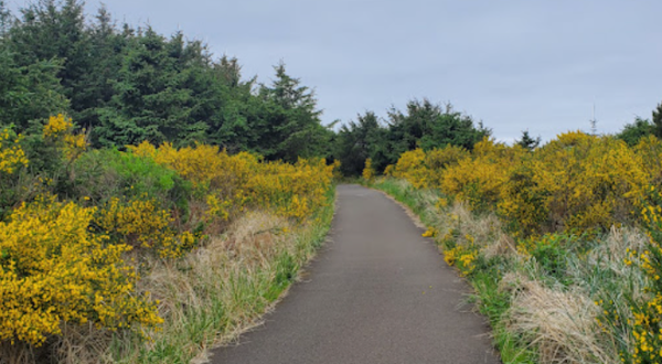 This Little-Known Trail Is Quite Possibly The Best Biking and Walking Path In Washington