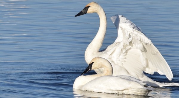 Fall Is The Best Time Of Year To Visit Harmon Lake Wildlife Area In Iowa