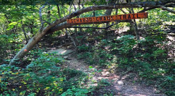 The Entire Family Will Love This Short And Simple Hike In Oklahoma