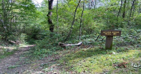 A Peaceful Escape Can Be Found Along The Acorn Ridge Trail In West Virginia
