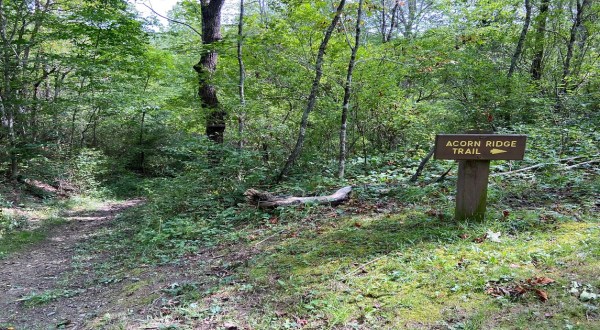 A Peaceful Escape Can Be Found Along The Acorn Ridge Trail In West Virginia