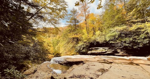 The Under-The-Radar Destination In West Virginia With The Most Beautiful Fall Foliage In The State