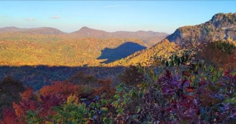 Did You Know About The Unique Fall Phenomenon In North Carolina Known As Shadow Of The Bear?