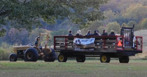 Go On A Scenic Wagon Ride Through These Delaware State Parks This Fall