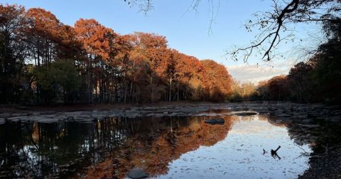 The Under-The-Radar Destination In North Carolina With The Most Beautiful Fall Foliage In The State