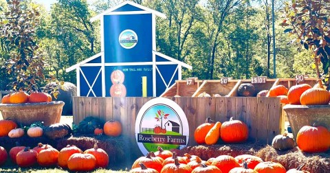 This Pumpkin Patch And Cafe With Seasonal Goodies Are The Perfect Pair For A Fall Day Trip In Arkansas