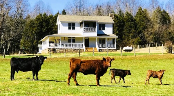 This Charming Farmhouse On A 150-Acre Cattle Farm In Arkansas Is The Coolest Place To Spend The Night