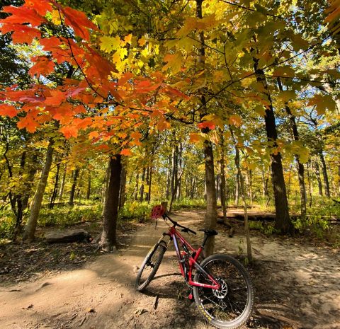 The Under-The-Radar Destination In Illinois With The Most Beautiful Fall Foliage In The State