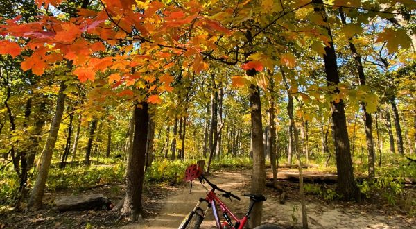 The Under-The-Radar Destination In Illinois With The Most Beautiful Fall Foliage In The State