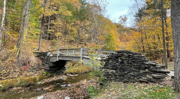The Beautiful State Park Where You Can View The Best Fall Foliage In New York