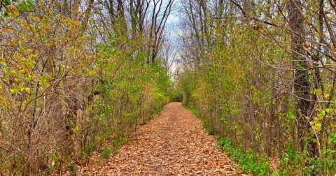 This Little-Known Scenic Spot In Illinois That Comes Alive With Color Come Fall