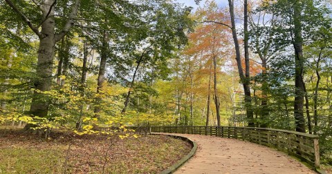 The Small State Park In Maryland Where You Can View The Best Fall Foliage