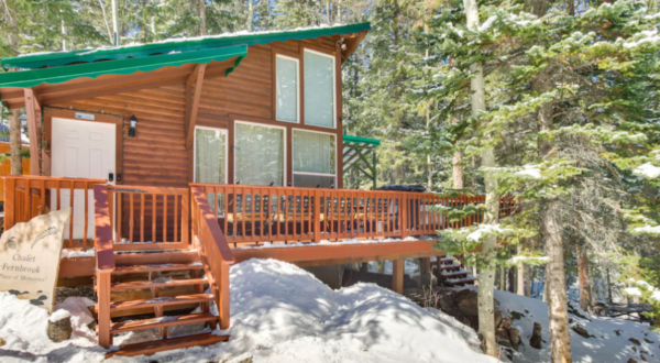 This Cozy Cabin Is The Best Home Base For Your Adventures In Colorado’s Idaho Springs Area