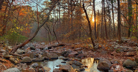 This Little-Known Trail Is Quite Possibly The Best Hiking And Walking Path In Missouri
