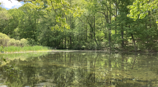 This Little-Known Trail Is Quite Possibly The Best Walking & Hiking Path In Rhode Island