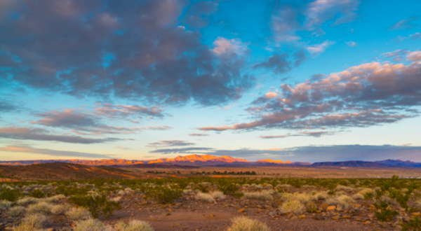 13 Surefire Signs You Have Strong Roots in Nevada