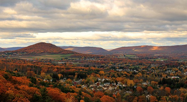 10 Surefire Signs You Have Strong Roots In Pennsylvania