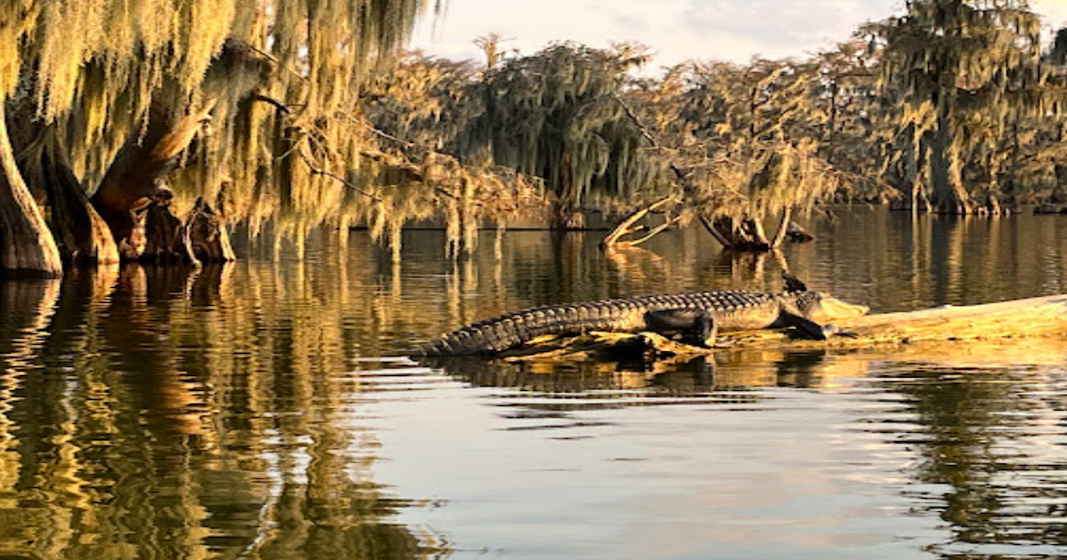 14 Incredible Natural Wonders In Louisiana That Defy Explanation