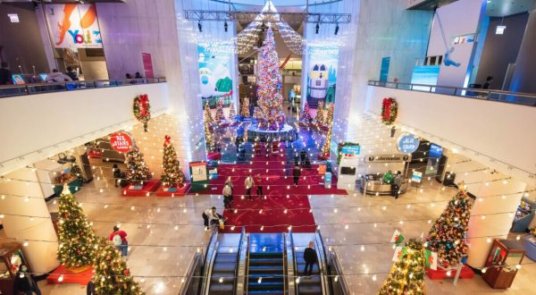 With More Than 50 Christmas Trees From Around The Globe, This Display In Illinois Will Fill You With Holiday Cheer