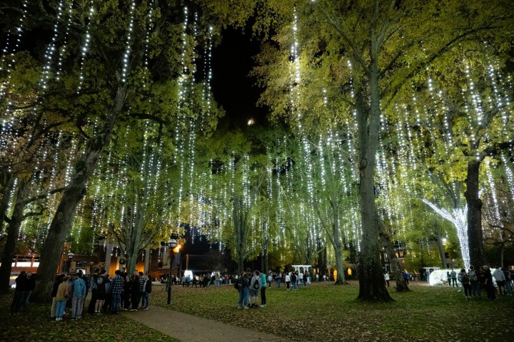 Christmas Light Displays In Arkansas