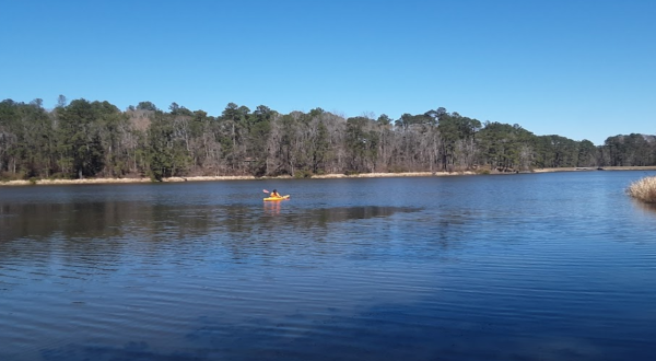 This Is Little-Known Lake Is Perfect For Easy Canoeing In Louisiana