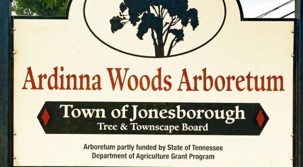 Explore A Little-Known Arboretum In This Small Tennessee Country Town