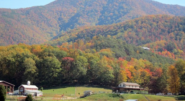 The Under-The-Radar Scenic Drive In Tennessee That Showcases The Great Smoky Mountains