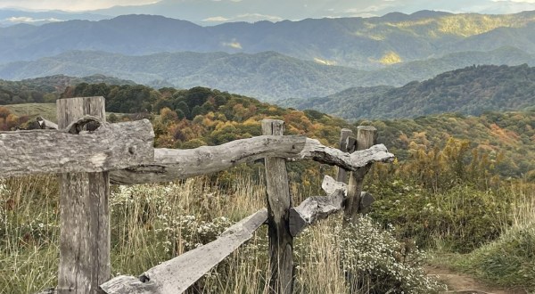 This Mountain Hiking Trail In Tennessee Is The Perfect Day Trip Destination