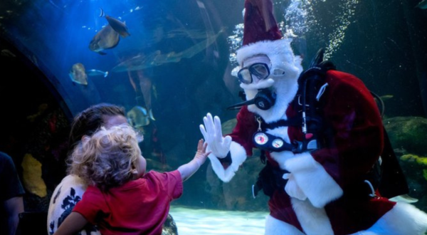 There’s No Better Place For A Holiday Adventure Than Holidays Under The Sea In Virginia