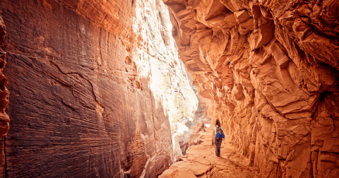 10 Surefire Signs You Have Strong Roots in Utah