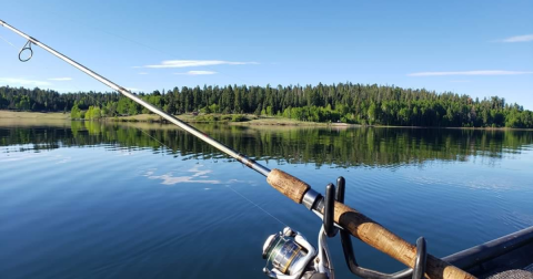This Is Little-Known Lake Is Perfect For Easy Boating And Fishing In Arizona