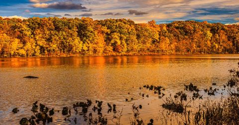 Discover Multiple Lakes At This Picturesque State Park In Indiana