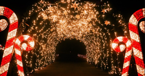 9 Christmas Light Displays In Southern California That Are Pure Holiday Magic