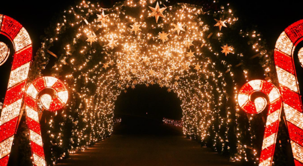 9 Christmas Light Displays In Southern California That Are Pure Holiday Magic