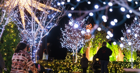 9 Christmas Light Displays In Kentucky That Are Pure Holiday Magic