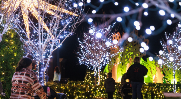 9 Christmas Light Displays In Kentucky That Are Pure Holiday Magic