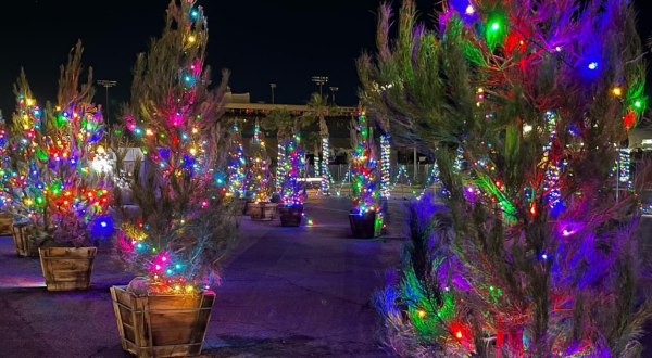 7 Christmas Light Displays In Nevada That Are Pure Holiday Magic