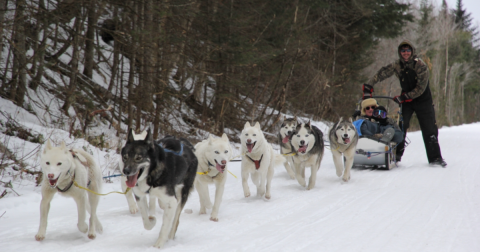 Your Ultimate Guide To Winter Attractions And Activities In New Hampshire