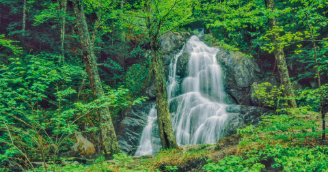 15 Incredible Natural Wonders In Vermont That Defy Explanation