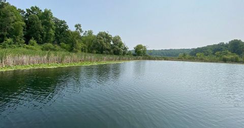 The Underrated State Park In Indiana Where You Can Lounge By The Lake
