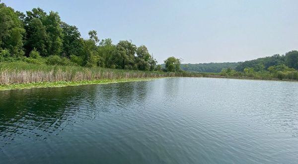 The Underrated State Park In Indiana Where You Can Lounge By The Lake