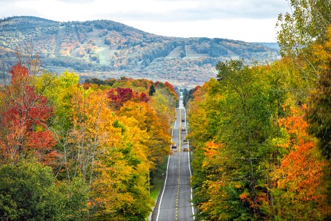 12 Surefire Signs You Have Strong Roots In West Virginia