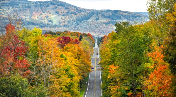 12 Surefire Signs You Have Strong Roots In West Virginia