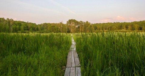 Enjoy A Long Walk At This Underrated State Park In Minnesota