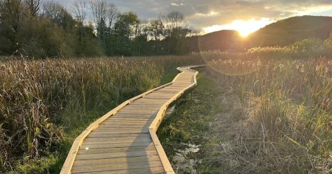 The Iconic Hiking Trail In New Jersey Is One Of The Coolest Outdoor Adventures You’ll Ever Take