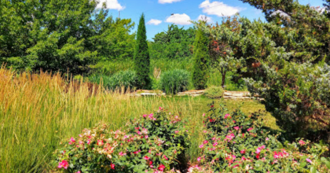 Explore A Little-Known Arboretum In This Small Kansas City